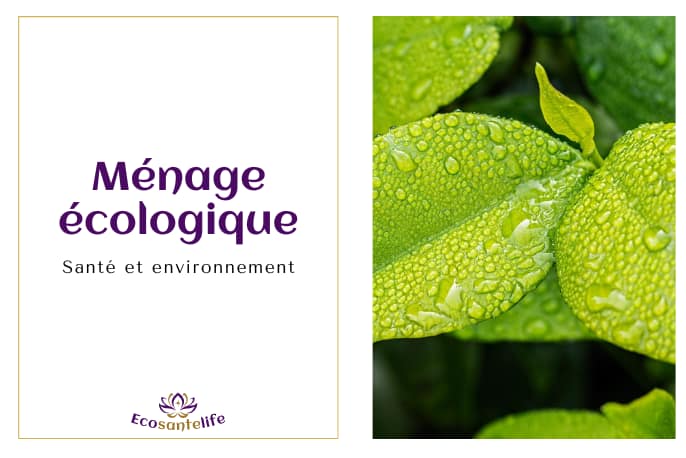 Comment faire le ménage d'une façon plus écologique ? 2 Ménage écologique - article de blog